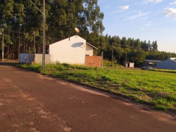 Terreno - Venda - Jardim Leo - Terra Roxa - PR