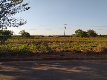 Terreno - Venda - Jardim Alvorada III - Terra Roxa - PR