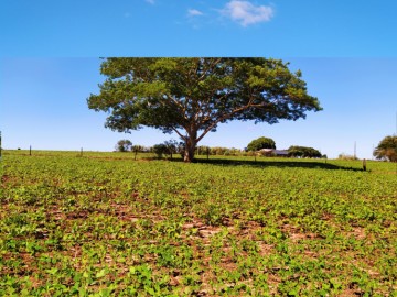 Chácara - Venda - Área Rural - Terra Roxa - PR