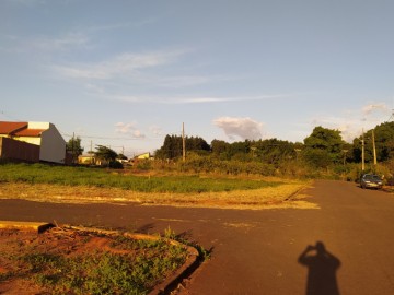 Terreno - Venda - Jardim Leão - Terra Roxa - PR