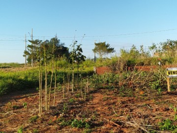 Terreno - Venda - Jardim Casa Grande - Terra Roxa - PR