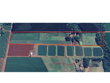 Stio - Venda - rea Rural - Terra Roxa - PR