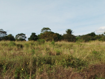 Chácara - Venda - Área Rural - Terra Roxa - PR