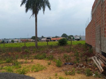 Terreno - Venda - Boa Vista - Terra Roxa - PR